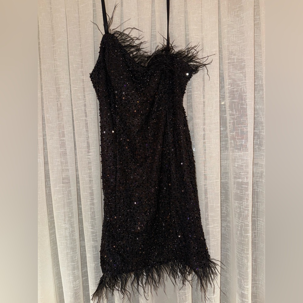 Black Sequinned Feathered Dress